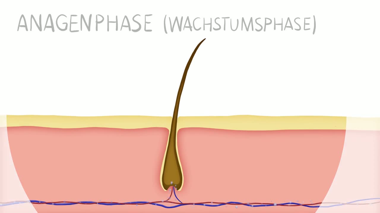 HAARFREIHEIT FÜR IMMER