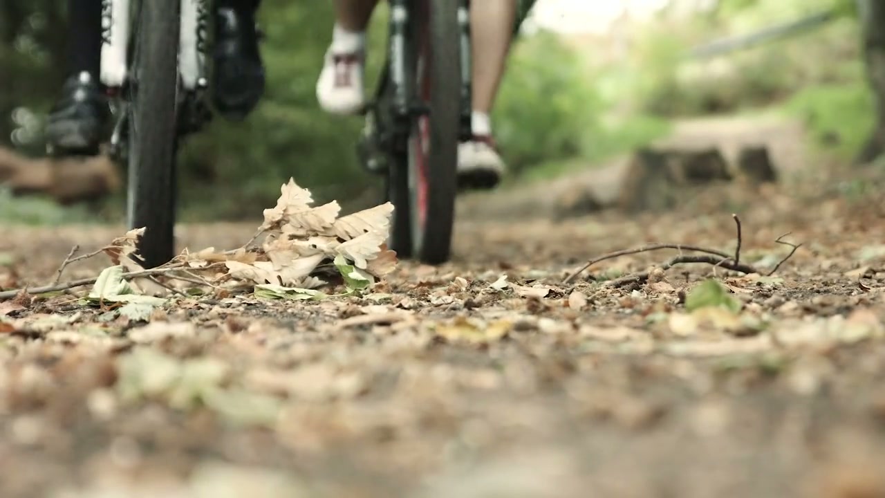 ZWISCHEN WALD UND REBEN