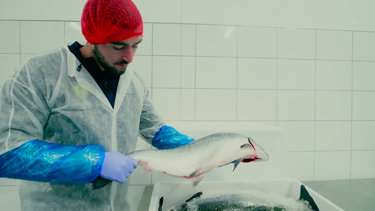 EIN VERDAMMT GUTER ANGLER