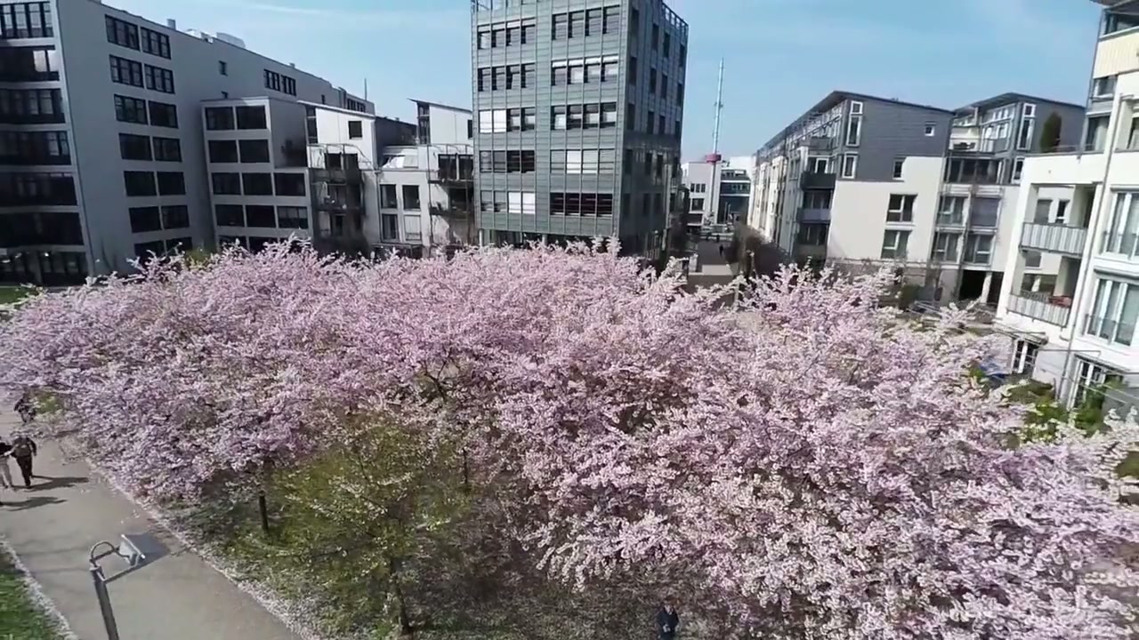 50 JAHRE JUBILÄUM