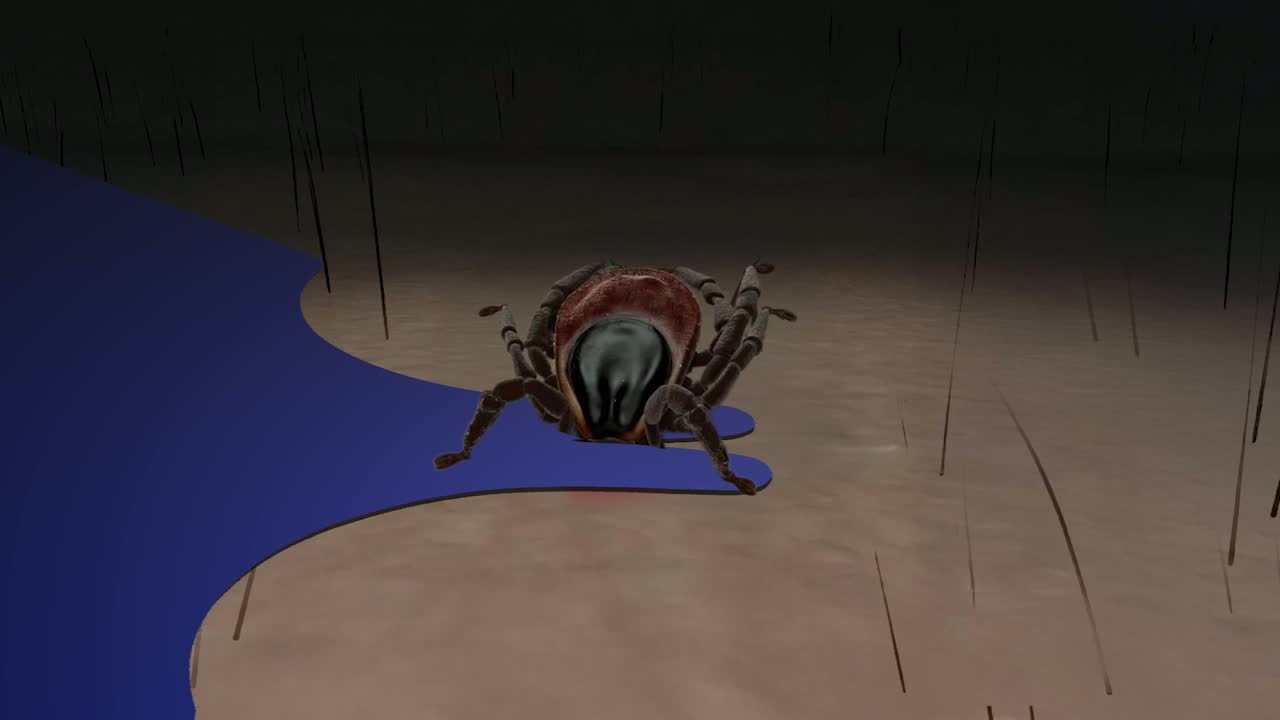 PARASITEN PORTAL